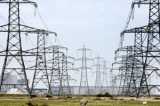 BJP MPs to Protest Against Power Crisis in UP