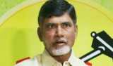 Chandrababu Naidu plays peace-maker between Errabelli and Revanth