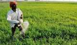 20 per cent of farmers to get loan waiver